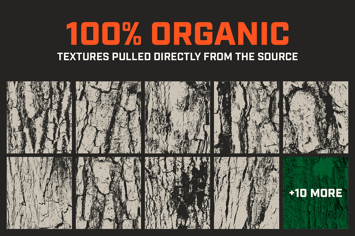 Tree Bark-Organic Wood Textures, a Texture Graphic by Slapshot Design Co (Photo 4 of 8)