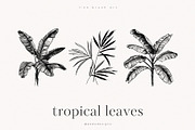 Tropical Leaves, a Decorative Illustration by PeDe Designs (Thumbnail 6 of 7)
