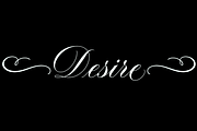 Procreate Calligraphy Flourish Stamp, a Brush Add-On by An Inkling Of Curry (Thumbnail 3 of 4)