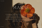 MARNÉ – Modern Organic Sans Serif, a Sans Serif Font by Creacy Studio (Thumbnail 2 of 10)