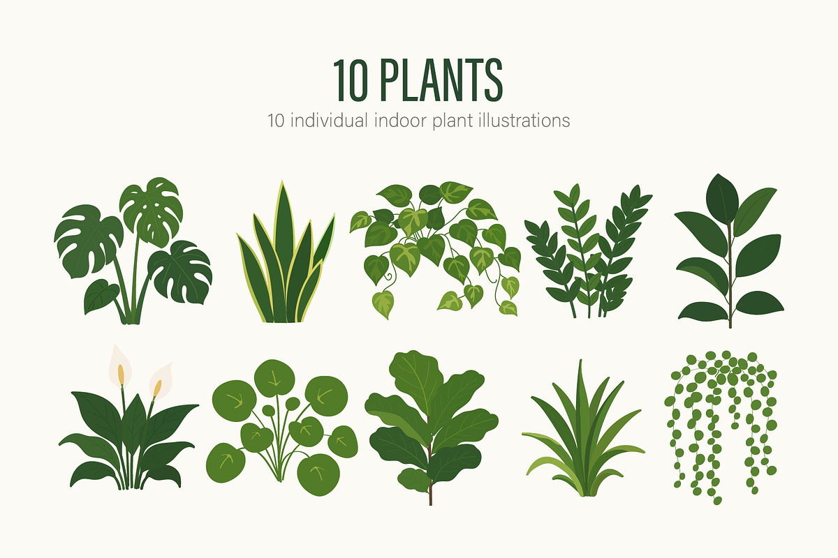 HOUSEPLANT ILLUSTRATION SET, an Object Illustration by OREHOVKA (Photo 3 of 4)