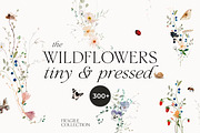 Watercolor Wildflowers Bundle, a Decorative Illustration by Lana Elanor (Thumbnail 4 of 9)