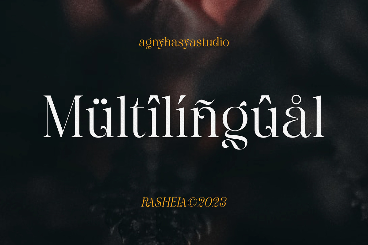 Rashela - A Decorative Serif, a Serif Font by agnyhasyastudio (Photo 9 of 10)