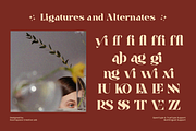 Fleur Mirage - Modern Retro Serif, a Serif Font by roomspace creative lab (Thumbnail 13 of 15)