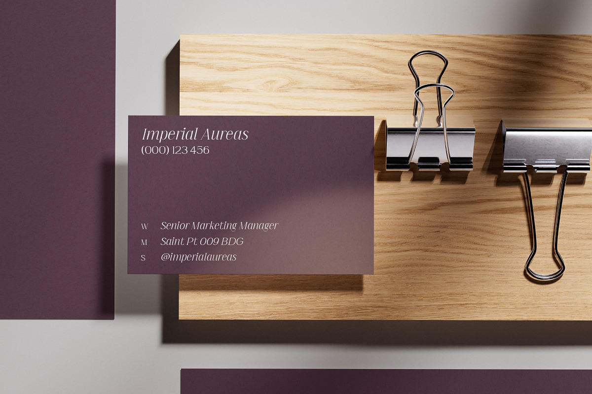 Imperial Aureas a Minimal Serif, a Serif Font by Lettertype Studio (Photo 8 of 16)