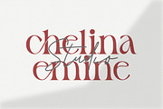 Balgend - Elegant Font Duo, a Serif Font by Typebae (Thumbnail 5 of 10)