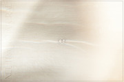 Neutral & Natural | 15 Dreamy Photos, an Abstract Photo by Melanie Helena (Thumbnail 10 of 16)