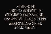 Grimlins Mixed Display Font, a Serif Font by Letterhend Studio (Thumbnail 4 of 10)