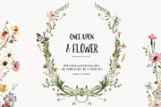 Meadow watercolor dried wildflowers, a Decorative Illustration by Grace Noboa Illustrations (Thumbnail 4 of 13)