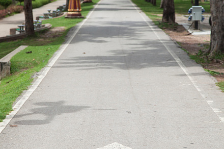 Directional arrow on the road containing road, arrow, and direction, a Transportation Photo by a454
