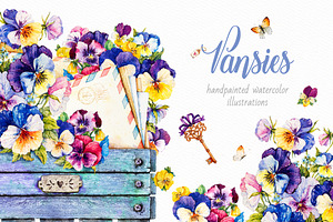 Pansies. Watercolor.