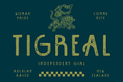 CS Amber Stamp, a Sans Serif Font by Craft Supply Co. (Thumbnail 6 of 8)