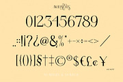 MOONEYES - Modern Serif, a Serif Font by erlosDESIGN (Thumbnail 12 of 15)