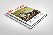 Multipurpose Magazine, a Magazine Template by DesignCorner (Thumbnail 1 of 5)