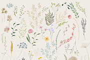 WILDER GARTEN delicate whimsy floral, a Decorative Illustration by January Bloom (Thumbnail 23 of 27)