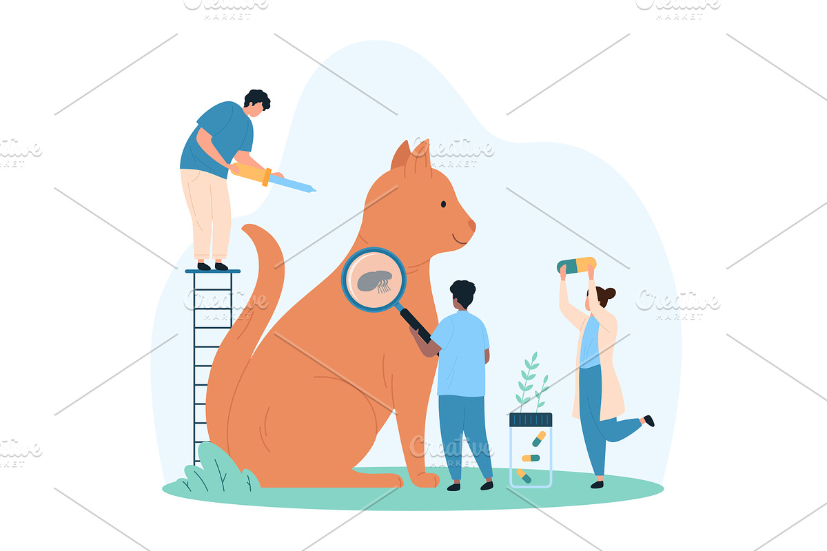 Diagnosis & treatment fleas cats, an Animal Illustration by Flashvector