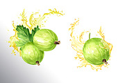 Amber Gooseberry. Watercolor set, a Food Illustration by Daria Ustiugova (Thumbnail 15 of 23)