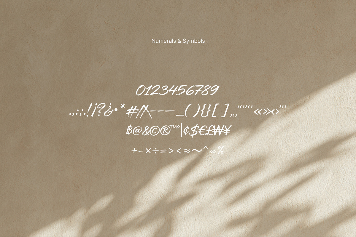 Rawwelle Handwritten Script, a Handwritten Font by kavoon (Photo 10 of 11)