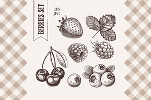 Vintage berry illustration.
