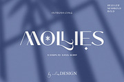 The Font Bundle 12 Modern Fonts, a Handwritten Font by erlosDESIGN (Thumbnail 11 of 13)