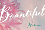 Nerine, a Script Font by STUDIOWAYS (Thumbnail 2 of 4)