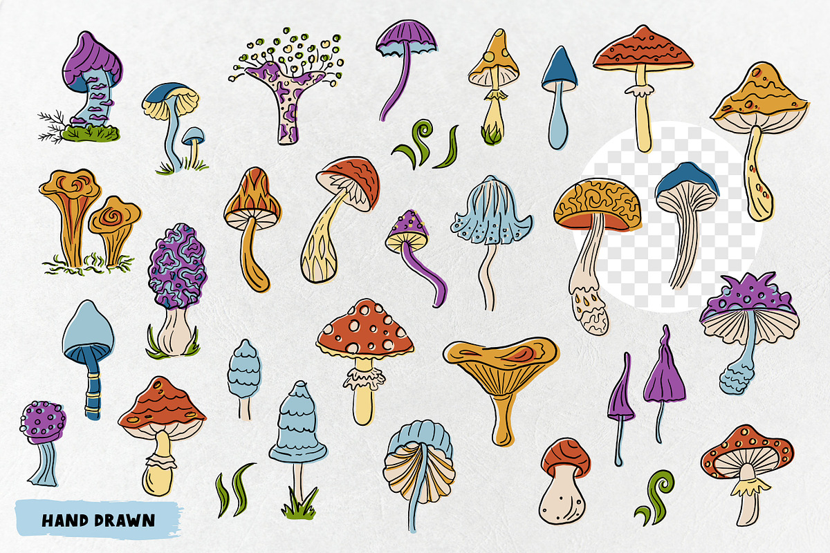 Mushrooms clip art. Vector, a Food Illustration by VaraNa Art (Photo 4 of 4)