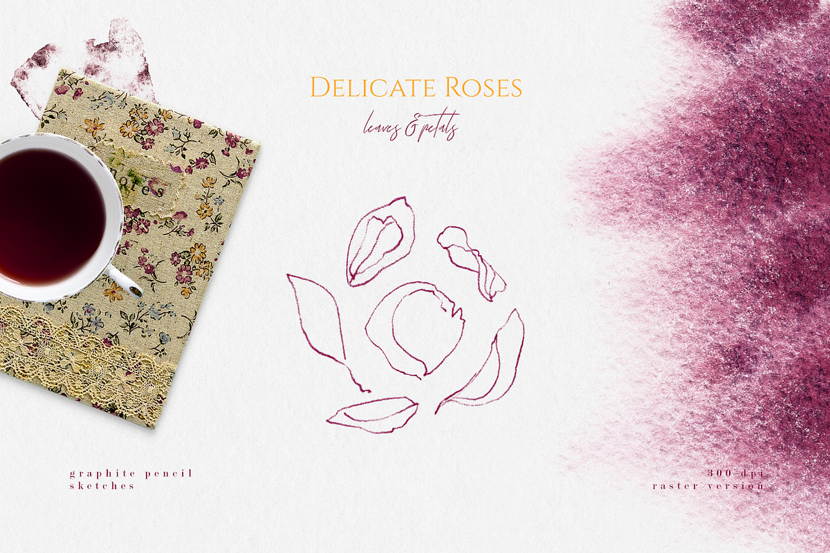 Delicate Roses - Hand Drawn Clipart, a Texture Illustration by Aquarellina (Photo 13 of 15)