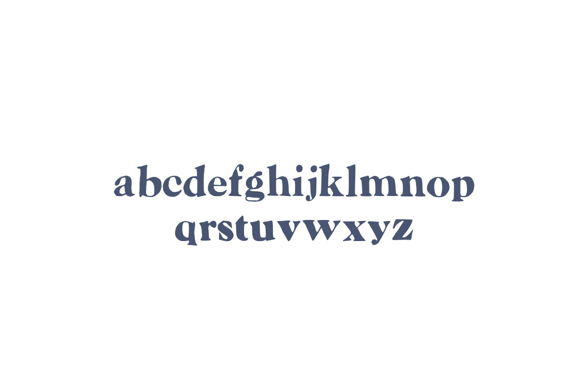 12th South Custom Serif Font preview 3