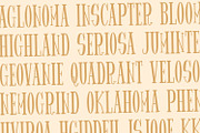 Spider King - Bouncy Serif Font, a Serif Font by StringLabs (Thumbnail 6 of 13)