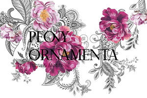 Paisley Floral Patterns And Motifs, a Pattern Graphic by LEAFure