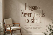 VESSAIRE - Elegant Tall Serif, a Serif Font by HypeWorksCo (Thumbnail 9 of 18)