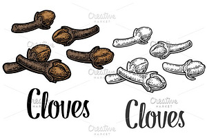 Cloves vintage engrave, a Decorative Illustration by MoreVector
