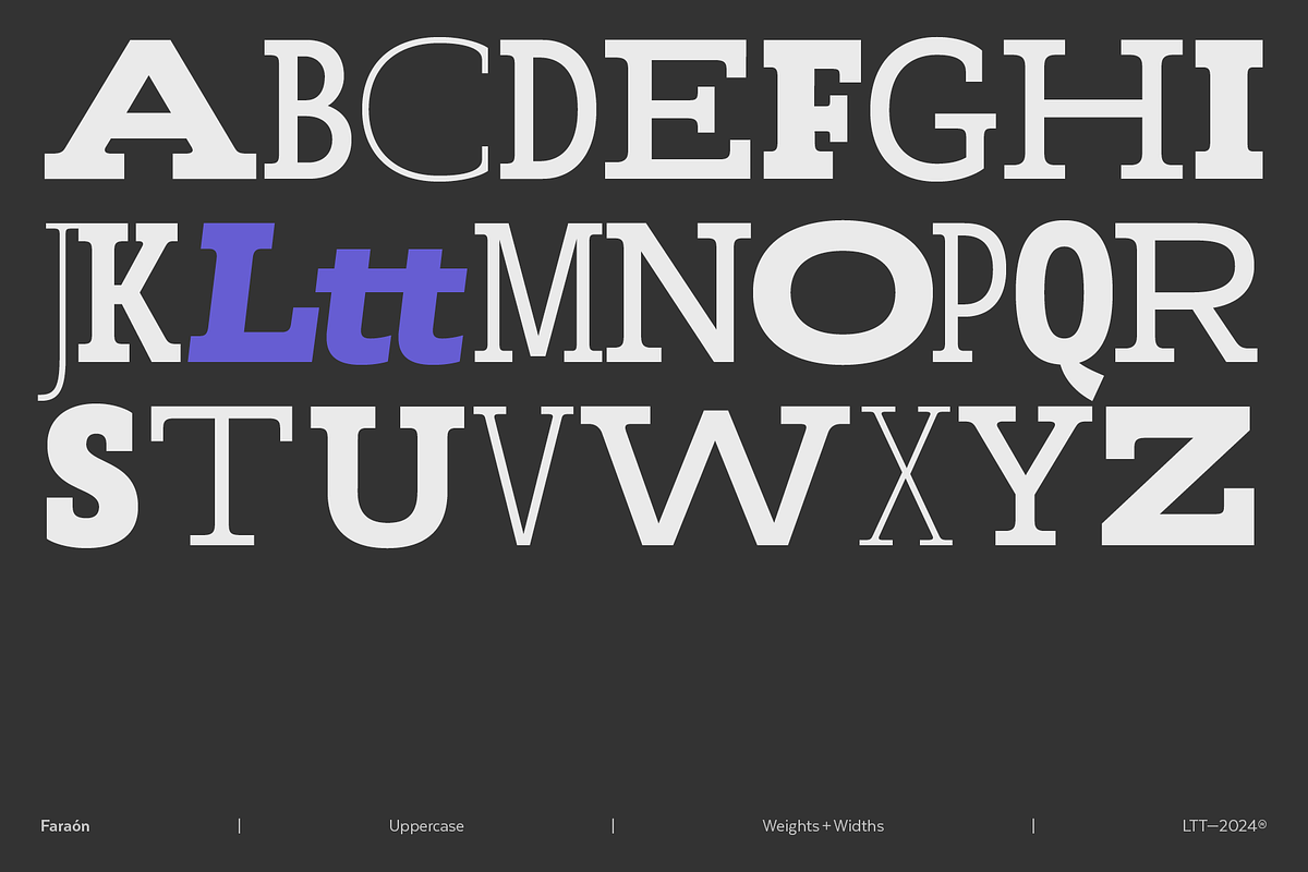 Faraon, a Slab Serif Font by Latinotype (Photo 12 of 15)