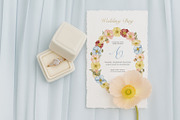 Watercolor Poppy. Bright Wildflower, a Decorative Illustration by Ooh Lily (Thumbnail 7 of 15)