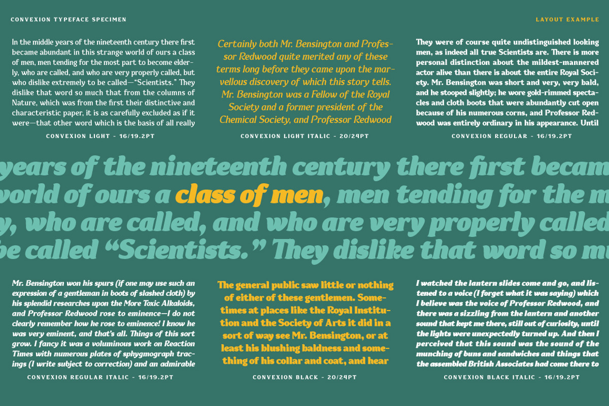 Convexion, a Serif Font by Typogama (Photo 4 of 10)