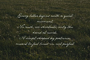 The Meadows - Font Trio & Extra, a Handwritten Font by Davide Bassu (Thumbnail 21 of 25)