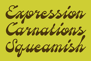 SFC Missane - Elegant Bold Script, a Script Font by Skilline Supply Co.