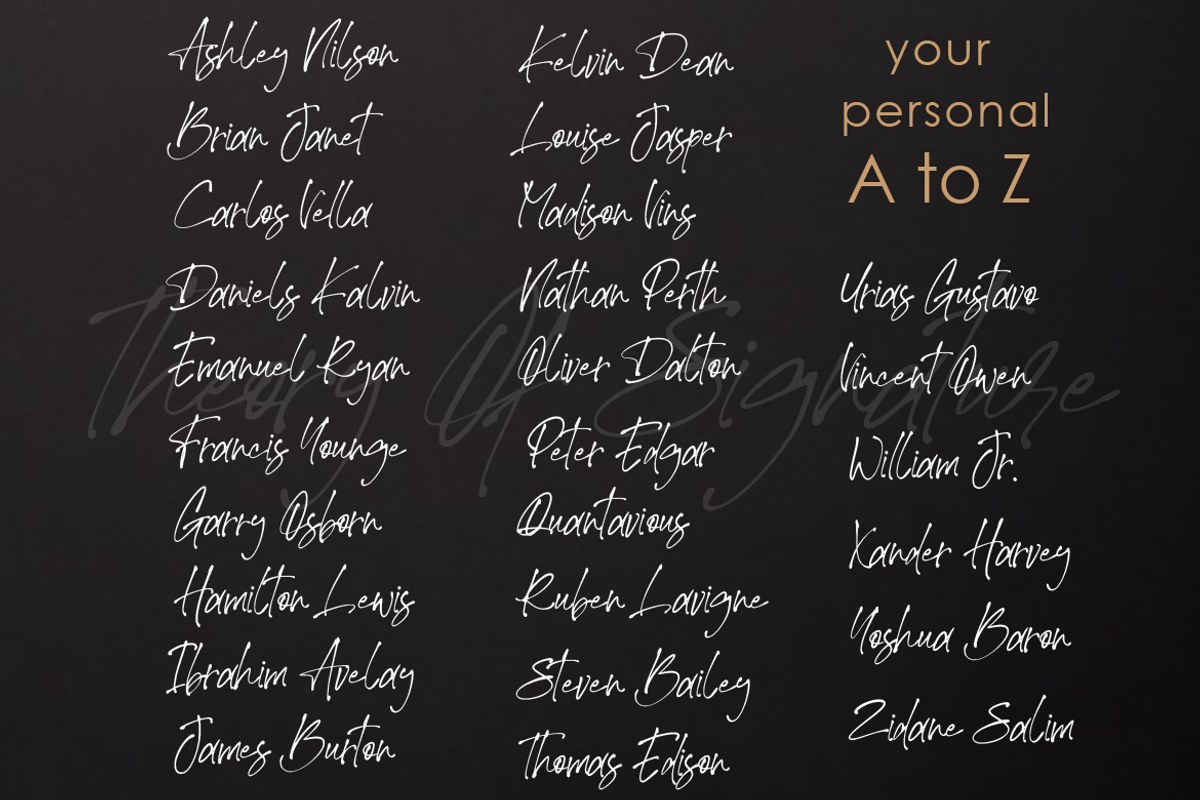 Theory Of Signature, a Script Font by AMINMARIO (Photo 5 of 9)