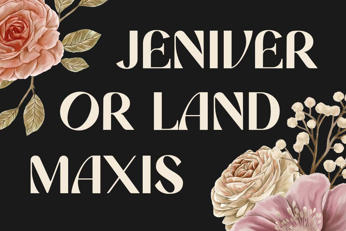 Romanost Modern Display Font, a Sans Serif Font by UICreative (Photo 8 of 13)