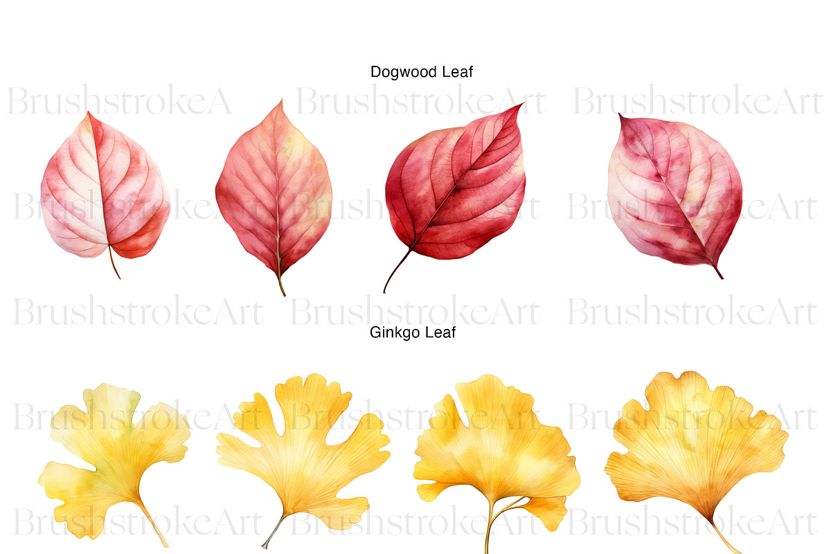 Fall Leaves Clipart, Autumn Leaf PNG, a Decorative Illustration by BrushstrokeArtGB (Photo 5 of 9)