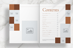 Brown Stylish Brochure