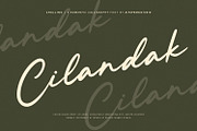 Challing - Romantic Calligraphy Font, a Script Font by Alpaprana (Thumbnail 6 of 12)