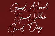 CS Sonya Drawn, a Script Font by Craft Supply Co. (Thumbnail 4 of 8)