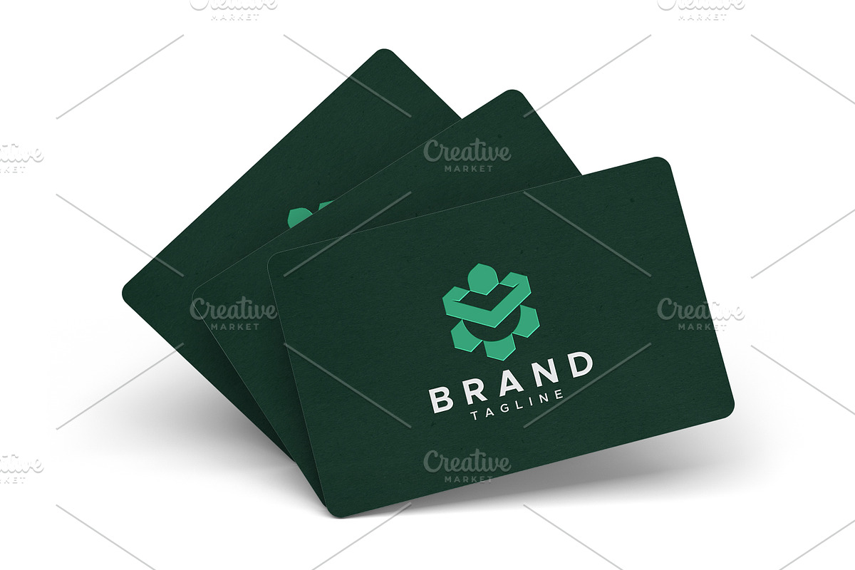 Turtle hexagon logo design, a Branding & Logo Template by Amadul11 (Photo 2 of 4)