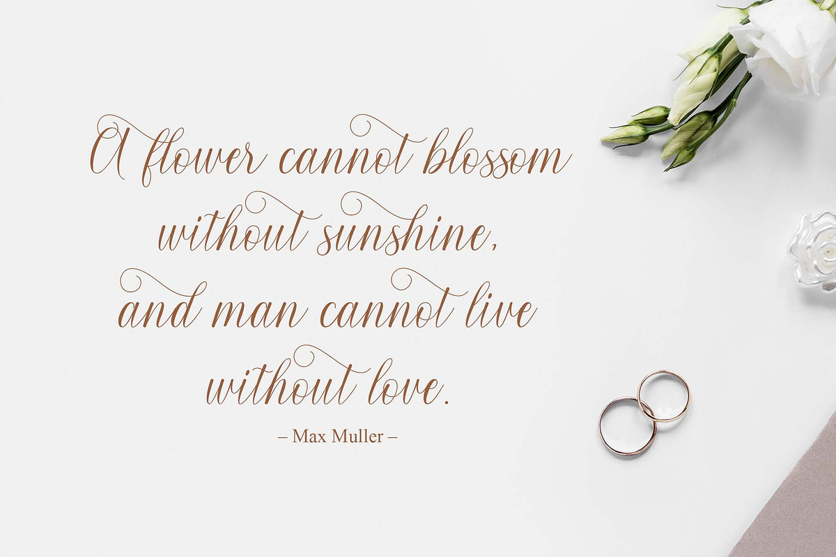 Honeylove - Modern Calligraphy, a Script Font by MJB Letters (Photo 5 of 8)