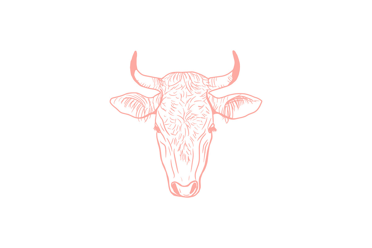 Vector Bovine Graphics, an Animal Illustration by Dorey Kronick Art&Design (Photo 4 of 19)