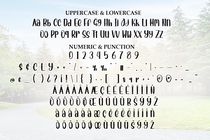 Outline Garden Script Font