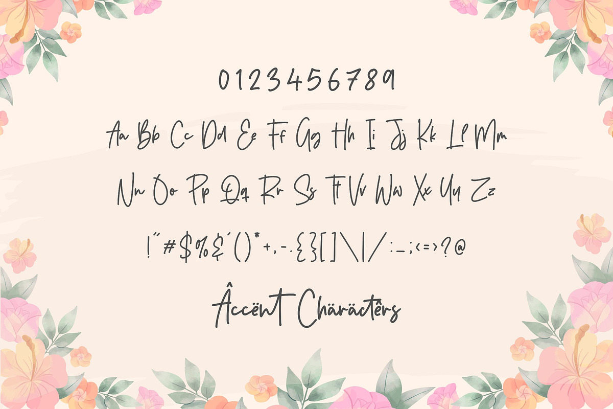 Bridgestown - Monoline Font, a Script Font by Balpirick Studio (Photo 6 of 7)
