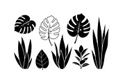 Minimal Botanical Leaf Silhouette Bu, an Illustration by Creativeshirt (Thumbnail 21 of 51)