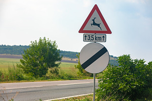 Countryside road featuring a deer crossing warning sign and open landscape in s, a Transportation Photo by Ales Munt
